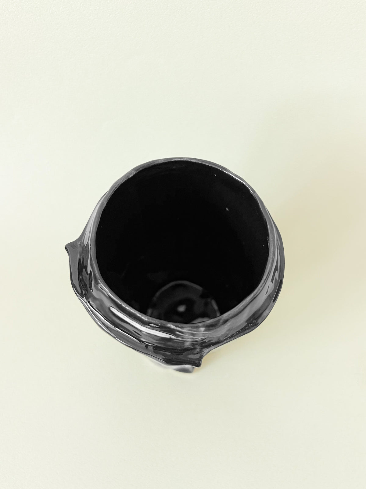 WILD VASE (MIDDLE/BLACK)